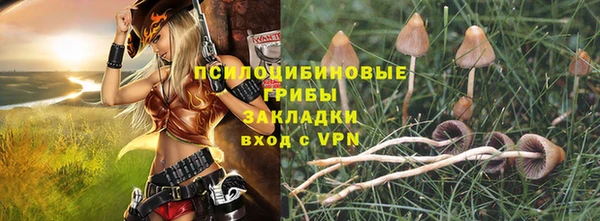 винт Осинники
