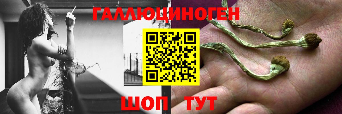 Галлюциногенные грибы Cubensis  Вход с VPN  Уфа  Псилоцибиновые грибы Psilocybine cubensis 